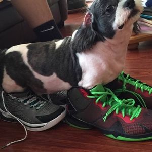 Meet your Posher, Blanca